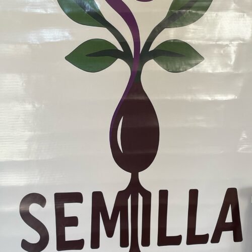 🌱 SEMILLA | Una experiencia que te invita a florecer